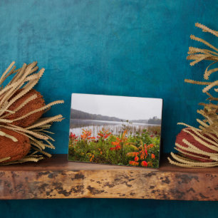 Itasca State Park   Minnesota Plaque