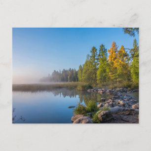 Itasca State Park, Minnesota Postcard