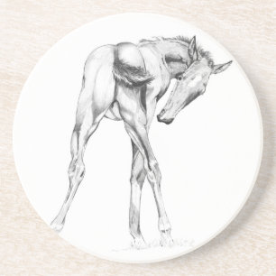 Itch Coaster