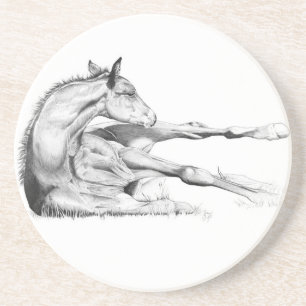 Itch Too Coaster
