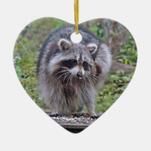 Itchin' & Scratchin' Racoon Ceramic Tree Decoration