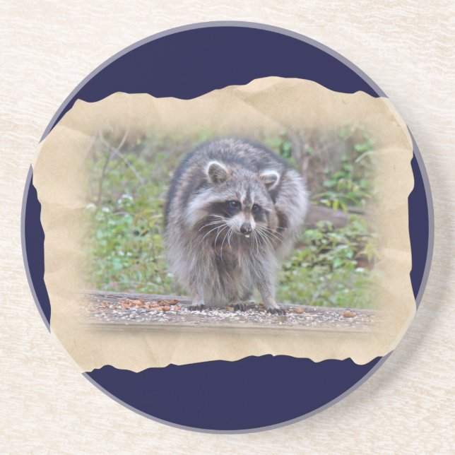Itchin' & Scratchin' Racoon Coaster (Front)