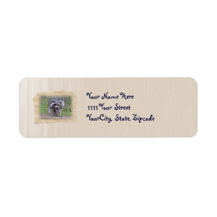 Itchin' & Scratchin' Racoon Return Address Label