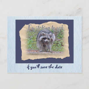 Itchin' & Scratchin' Racoon Save the Date Announcement Postcard