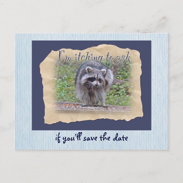 Itchin' & Scratchin' Racoon Save the Date Announcement Postcard (Front)