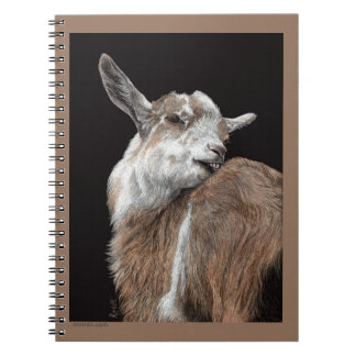 "Itchy Kid", Goat Notebook