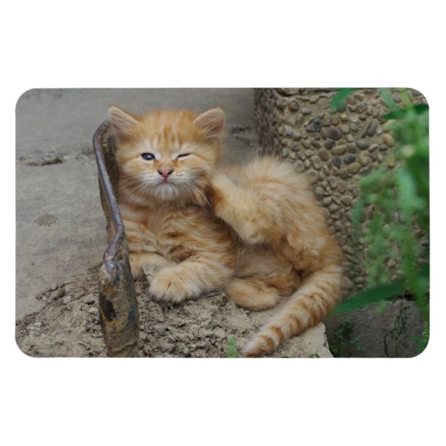 Itchy Magnet (Horizontal)