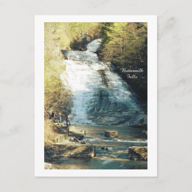 ITHACA NEW YORK BUTTERMILK  FALLS  POSTCARD (Front)