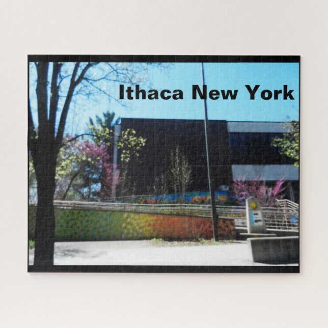 ITHACA NEW YORK LIBRARY JIGSAW PUZZLE (Horizontal)