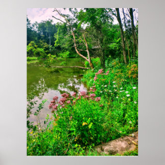 ITHACA NEW YORK NATURE RESERVE  POSTER