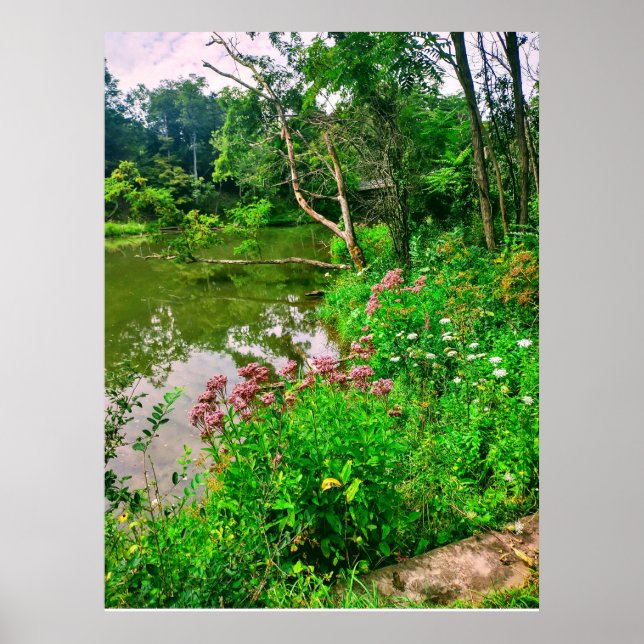 ITHACA NEW YORK NATURE RESERVE  POSTER (Front)