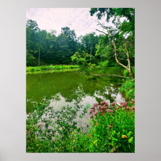 ITHACA NEW YORK NATURE RESERVE  POSTER