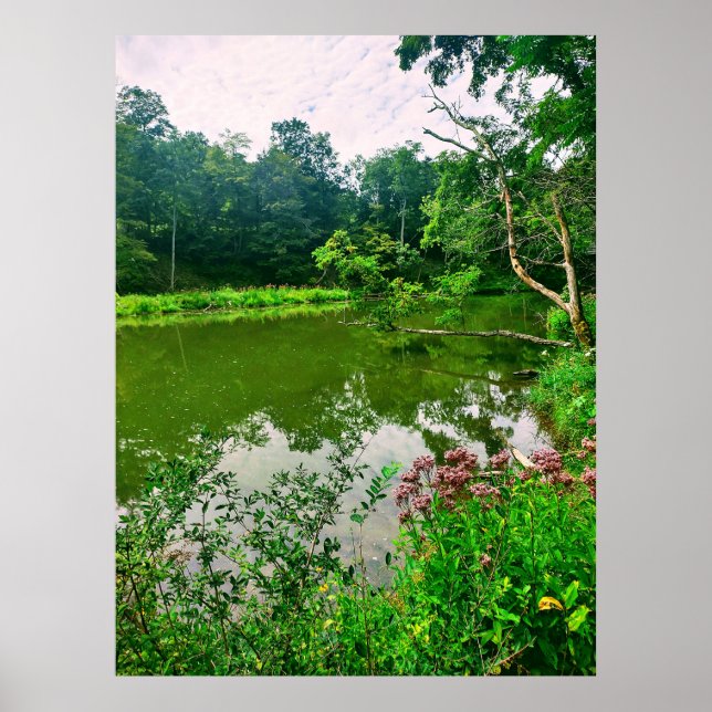 ITHACA NEW YORK NATURE RESERVE  POSTER (Front)