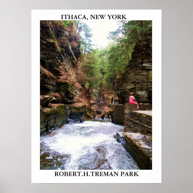 ITHACA, NEW YORK, ROBERT.H.TREMAN PARK poster (Front)