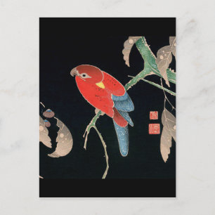 Itoh Jakuchu , Jakuchu ITO , Paro-zu in Kunugi Postcard
