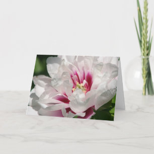 Itoh Peony "Cora Louise" Card