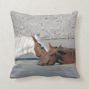 It's 5 O'Clock Somewhere Cushion