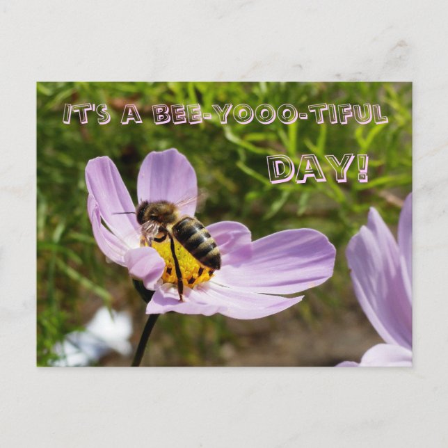 It's a bee-yooo-tiful day! / Bee Poscard Postcard (Front)