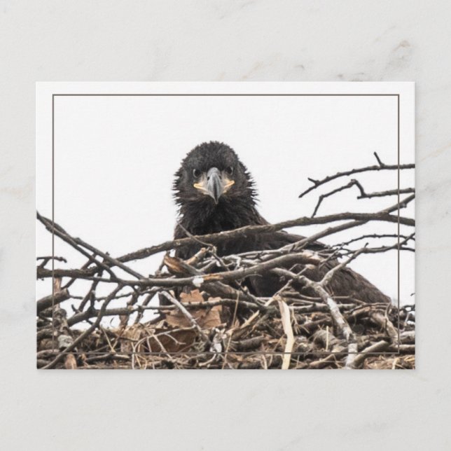 It's A Big New World Postcard (Front)