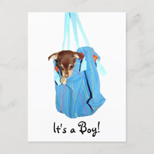 It's a boy! postcard