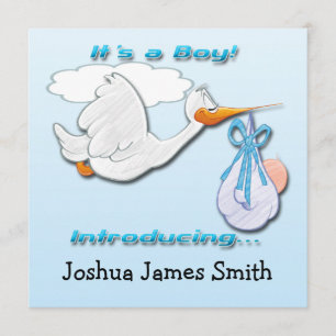 It's a Boy Stork Birth Announcement