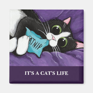 It's A Cat's Life Personalizable Cat Art Magnet