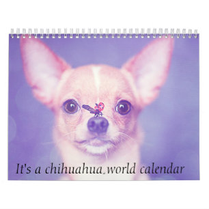 It's A Chihuahua World Calendar