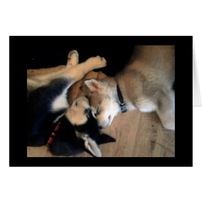 It's a dogs life (Front Horizontal)