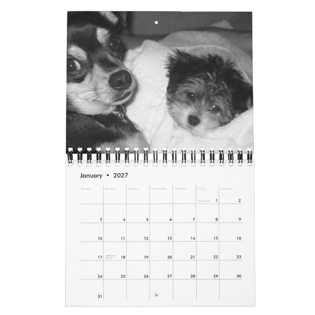 It's a Dog's Life 2008 Calendar (Jan 2027)