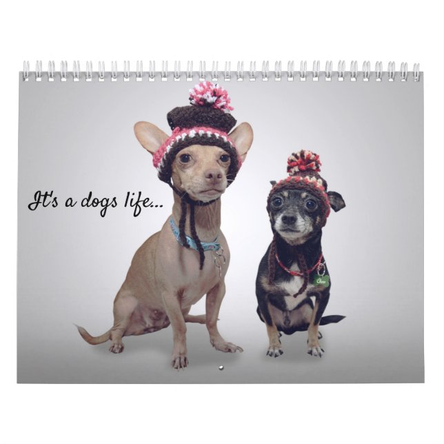It's a dogs life, dog of the month calendar (Cover)