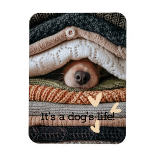 It's a Dog's Life Flexible Photo Magnet