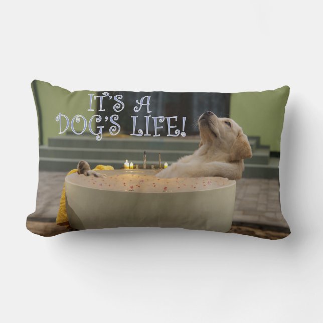 It's a dogs life lumbar cushion (Front)