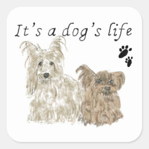 Its a Dogs Life quote cute Yorkshire terrier Square Sticker