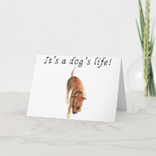 It's a dogs life Staffie Watercolour Dog Art Quote Card