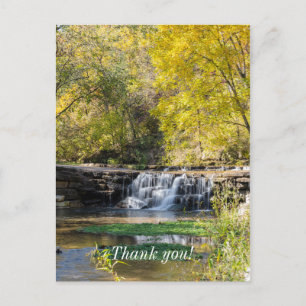 It's A Dogwood Waterfall Postcard
