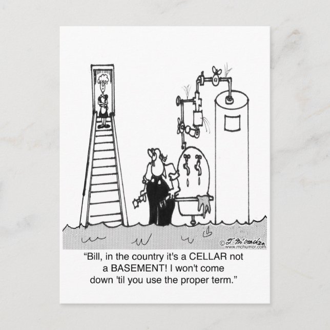 It's a Flooded Cellar, Not Basement Postcard (Front)