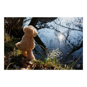 It's a funny bear who's teasing. poster