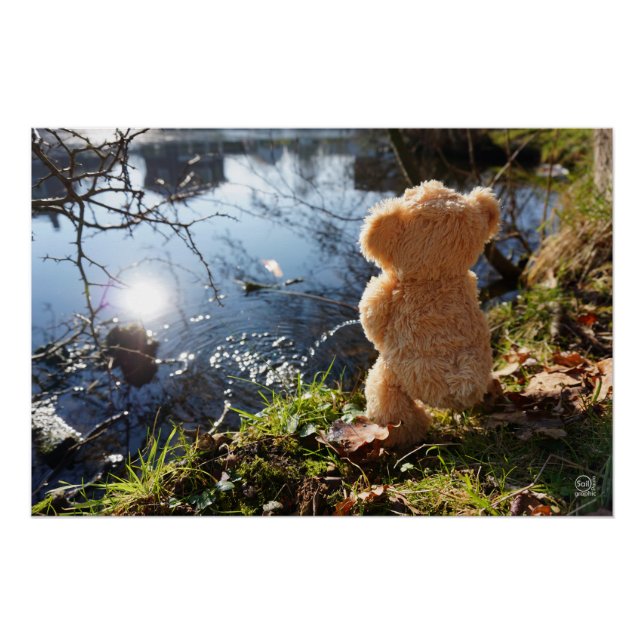 It's a funny bear who's teasing. poster (Front)