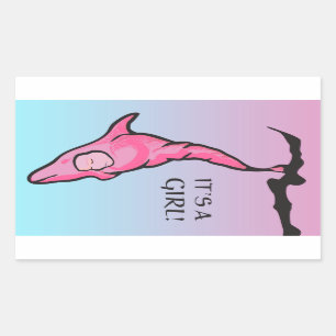 it's a girl! (dolphin cocoon) rectangular sticker