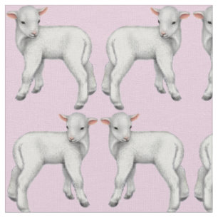 It's a Girl Little Baby Lamb Fabric