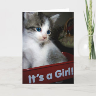 ITS A GIRL =^o^= Announcement