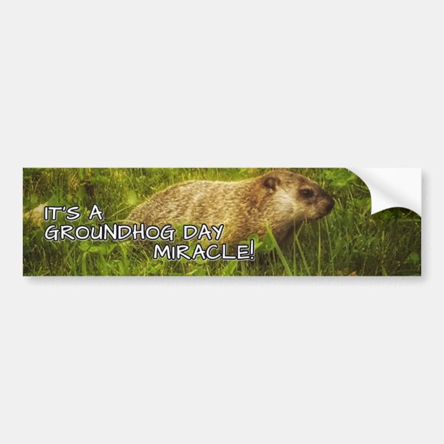 It's a groundhog day miracle bumper sticker (Front)