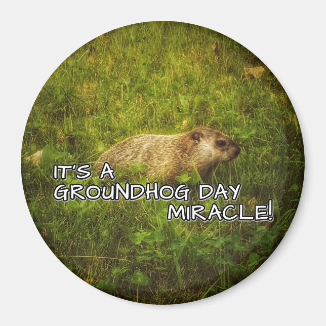 It's a groundhog day miracle magnet (Front)