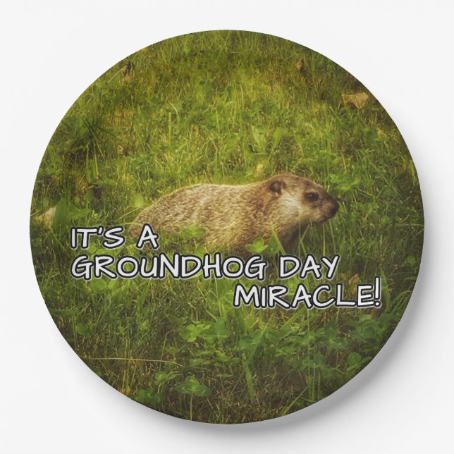 It's a groundhog day miracle plates (Front)