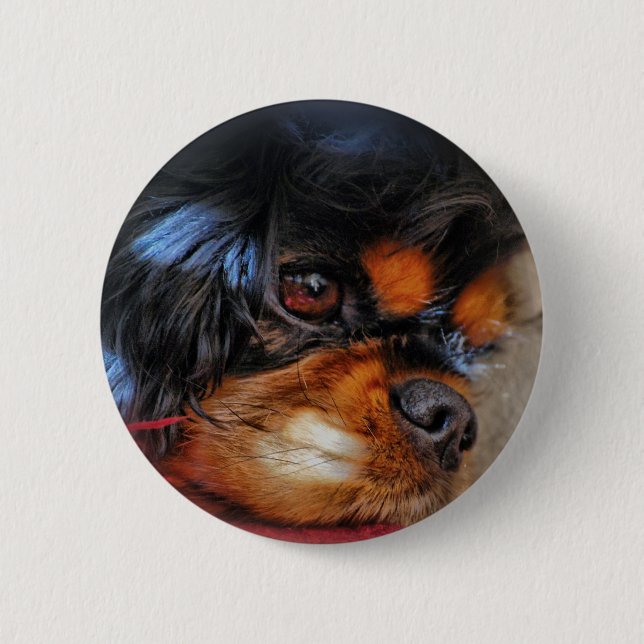 IT'S A HARD LIFE....... 6 CM ROUND BADGE (Front)