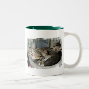 Its A Hard Life Cats Two-Tone Coffee Mug