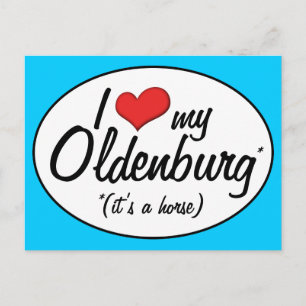 It's a Horse! I Love My Oldenburg Postcard