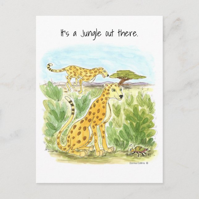 It's a Jungle Cheetah Post Card (Front)
