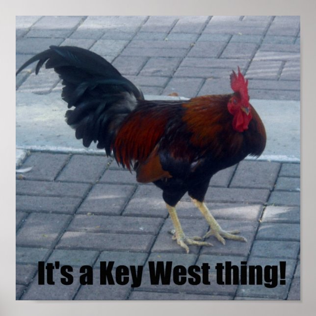 It's a Key West thing! Poster (Front)