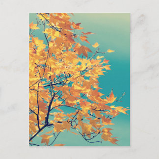 It's a Leaf Thing 1 Postcard